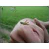 DSCN9837.jpg