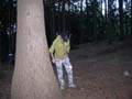 Alice s noem